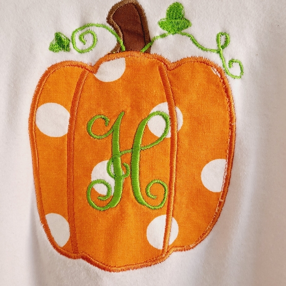 Long sleeve pumpkin tee H embroidered on front. Tags list 10 but fits 8-10 - Picture 2 of 3